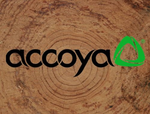 Accoya® wood is the material of choice at this year’s Hampton Court Flower Show